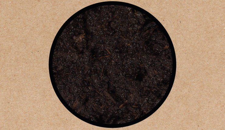 Swans – Birthing [2025], una breve recensione